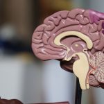 The Future of Artificial Intelligence in Healthcare